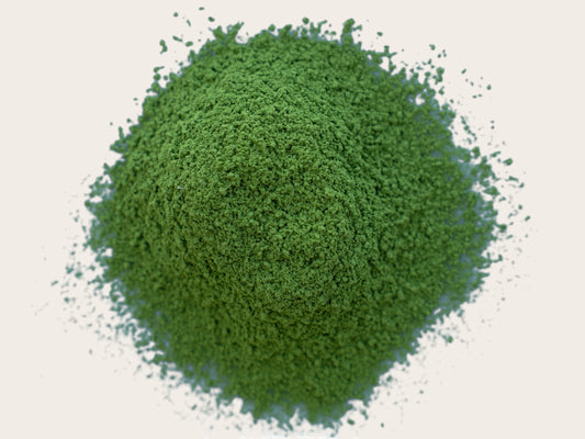 Everyday Ceremonial Matcha